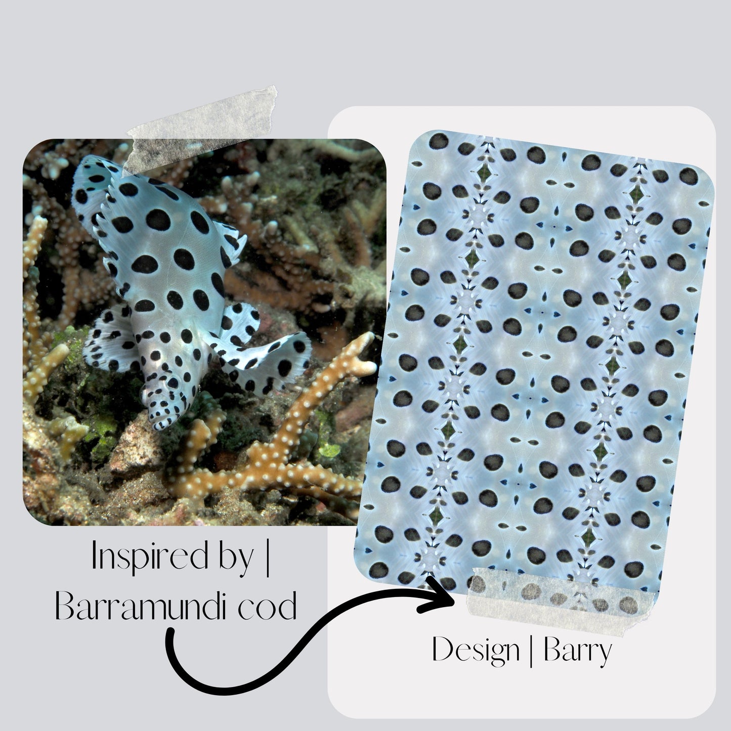 Hooded Change Towel - Barry