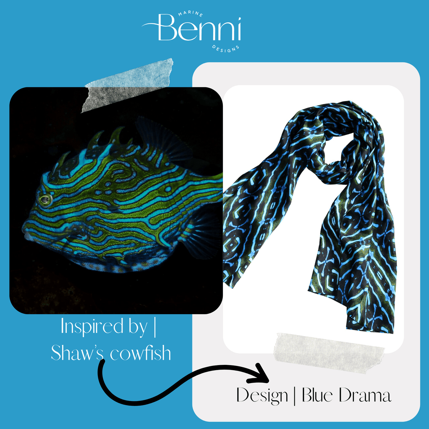 Blue Drama - Benni Marine Designs