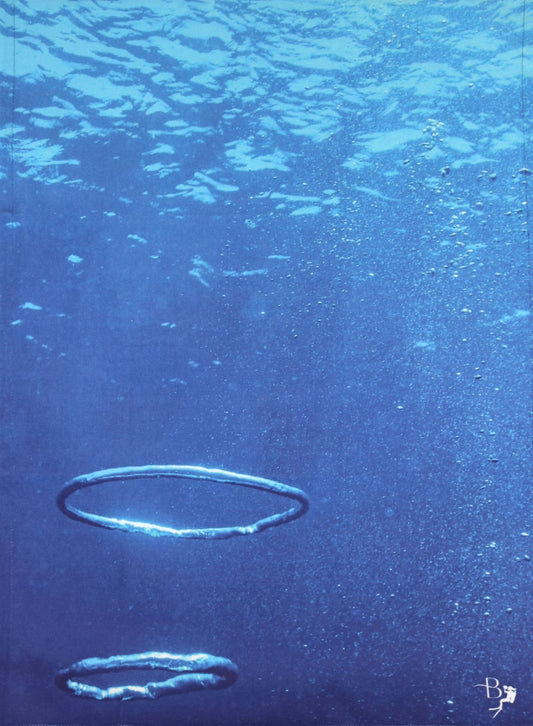 Kitchen Towels - Benni Marine Designs