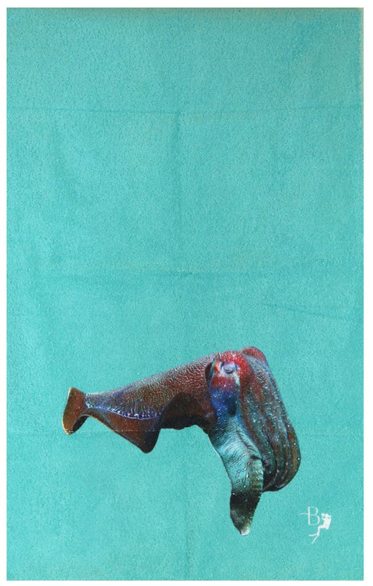 Ocean Life Terry Towel - Last Pieces - now just $10! - Benni Marine Designs