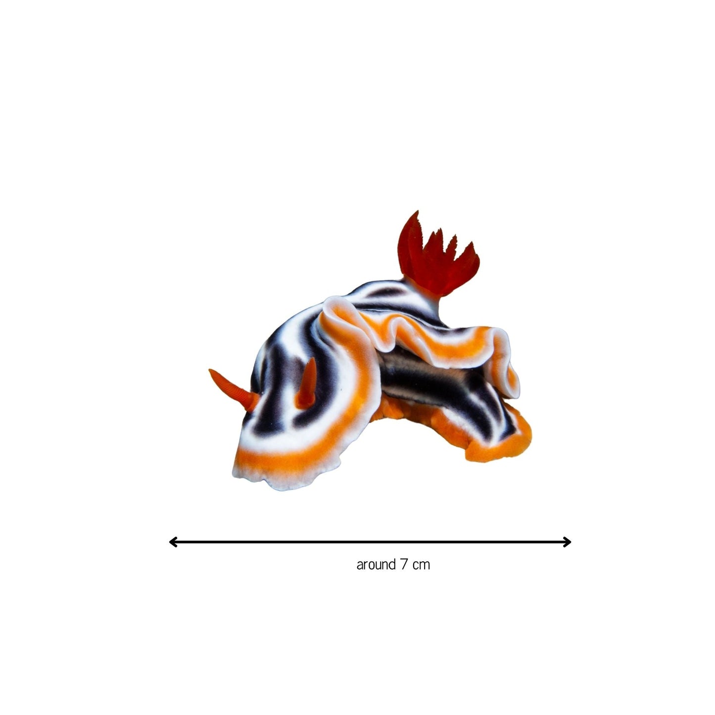 Stickers! - Benni Marine Designs