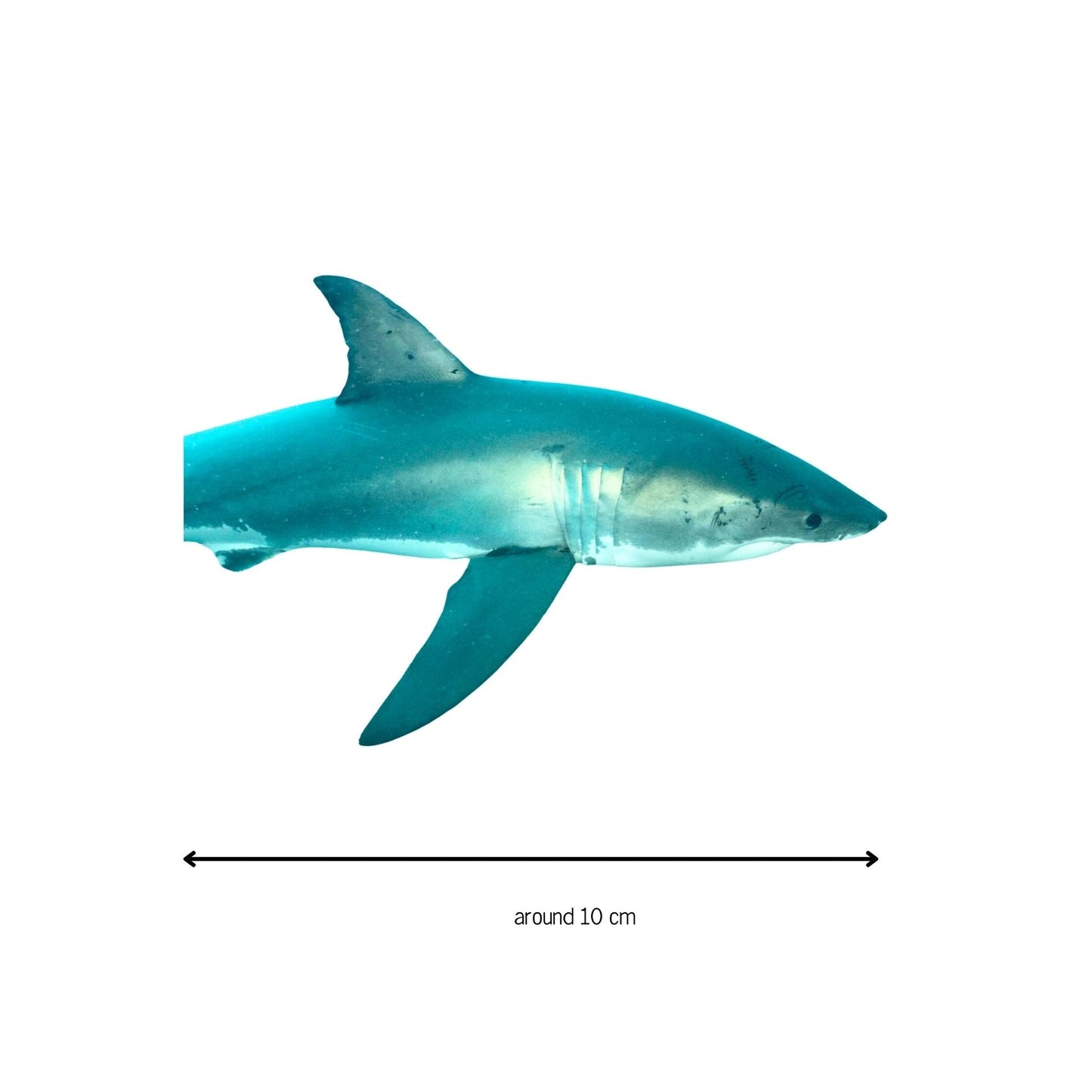 Stickers! - Benni Marine Designs