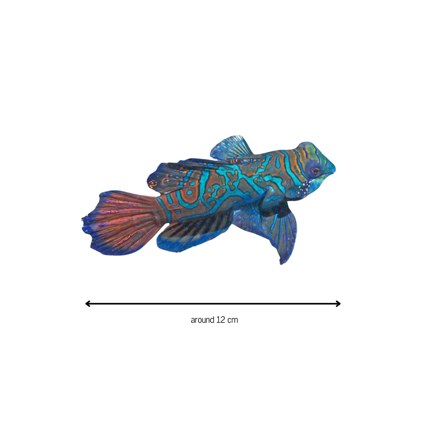 Stickers! - Benni Marine Designs