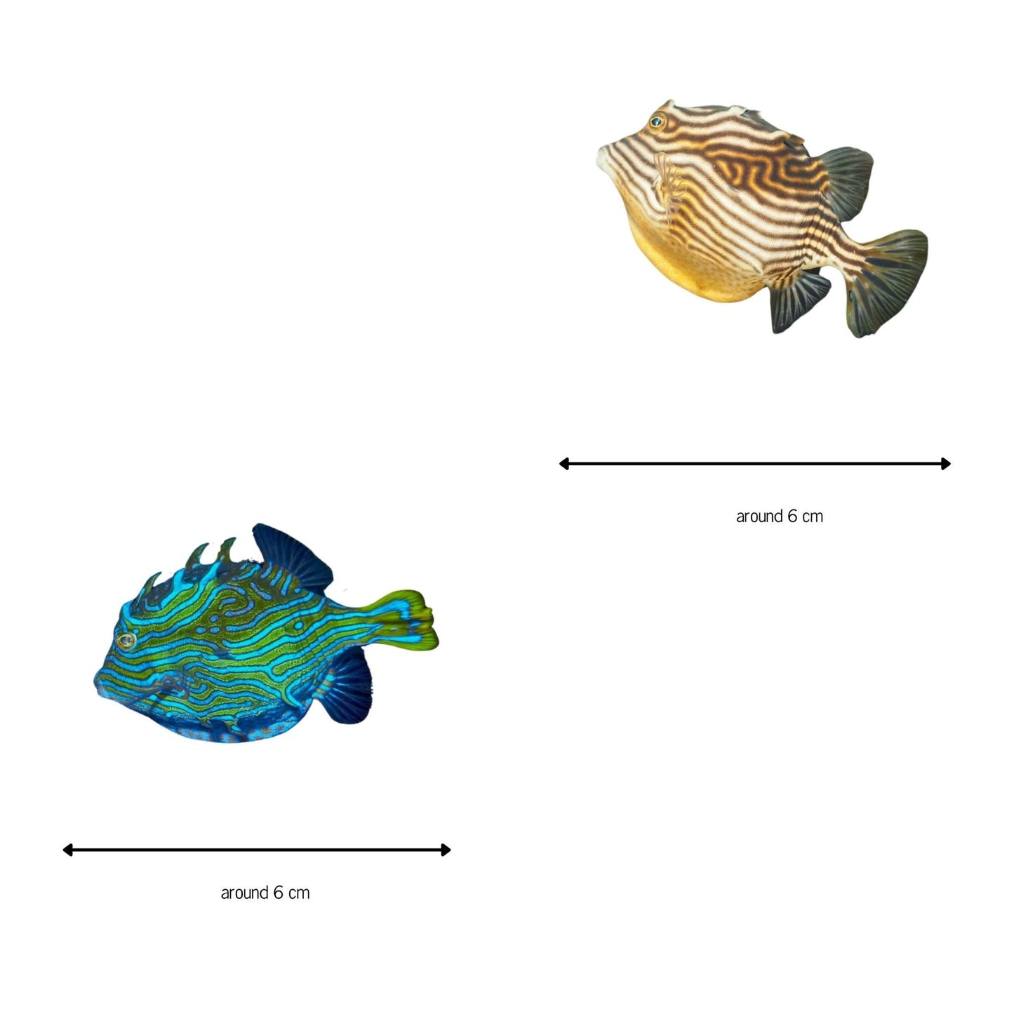 Stickers! - Benni Marine Designs