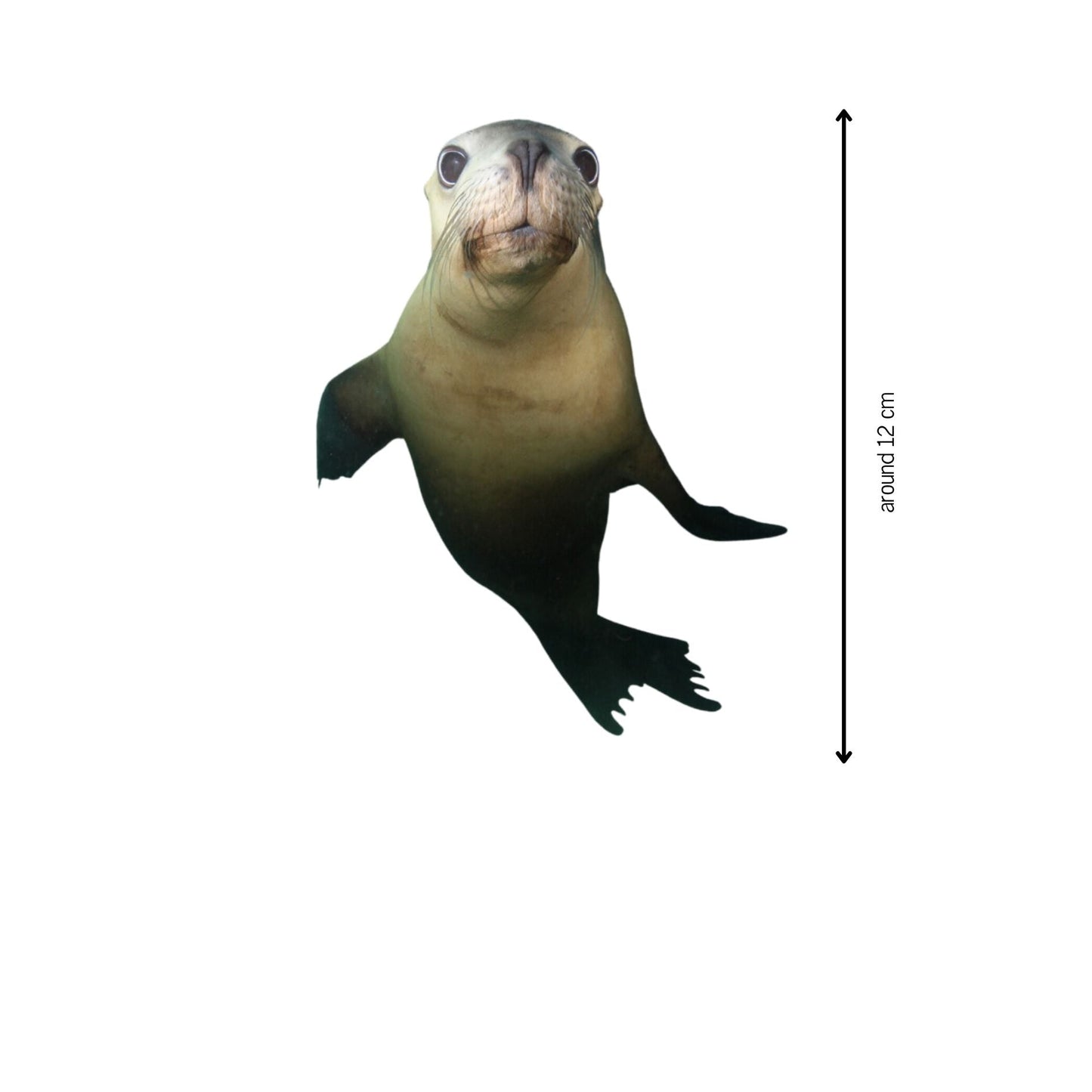Stickers! - Benni Marine Designs