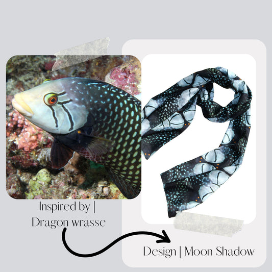 About the Marine Life - Dragon Wrasse