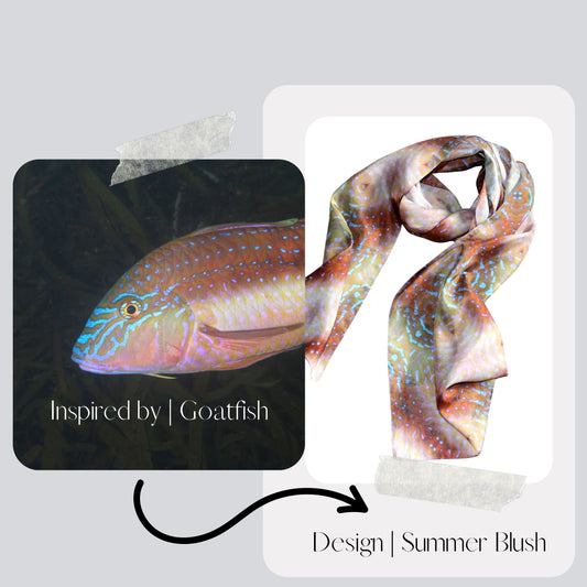 About the Marine Life - Goatfish