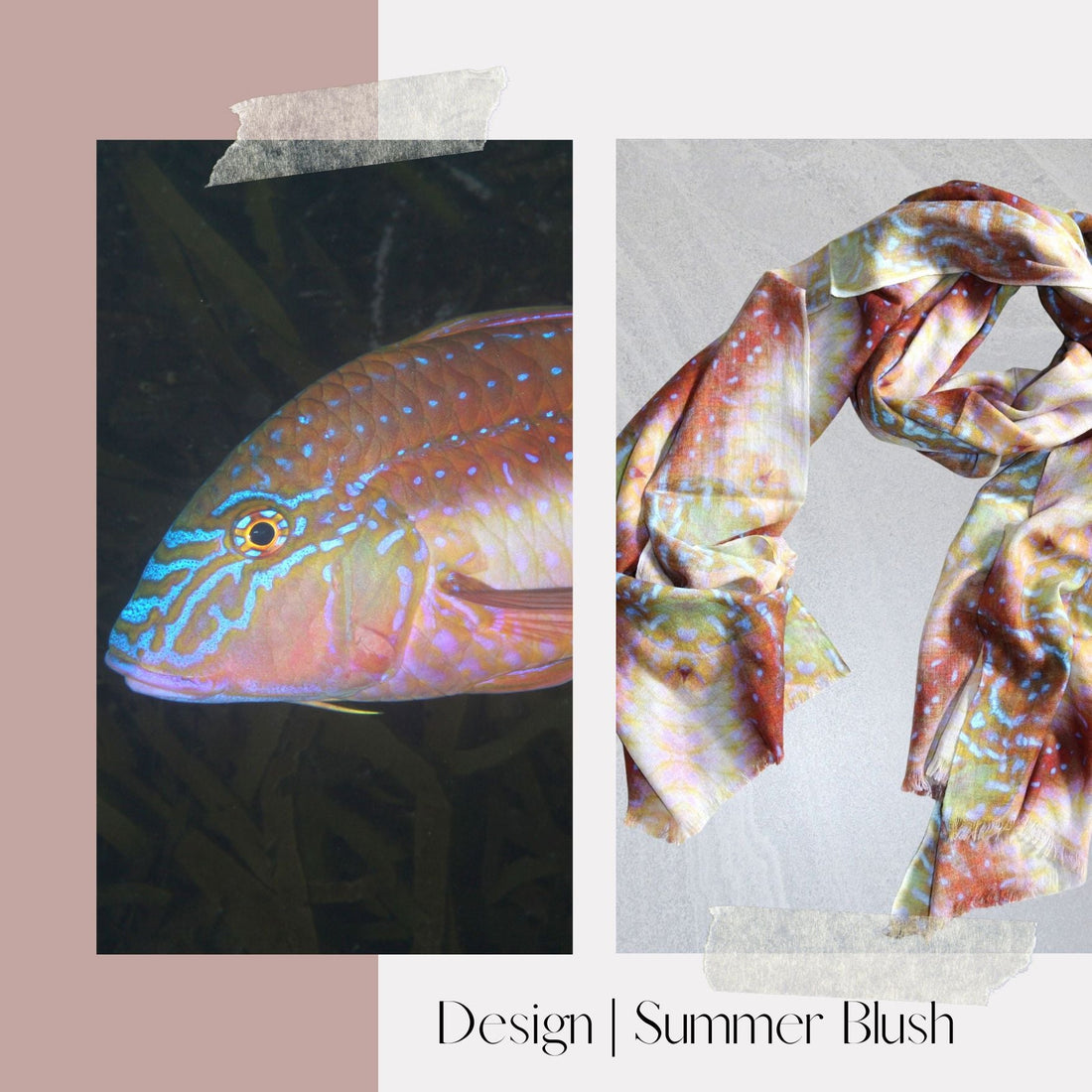 About the Marine Life - Goatfish - Benni Marine Designs