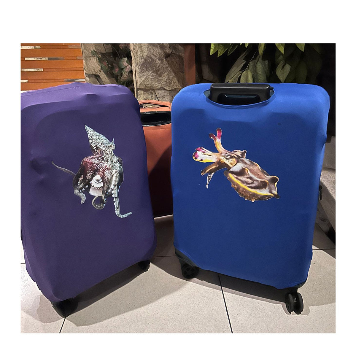 Suitcase Covers