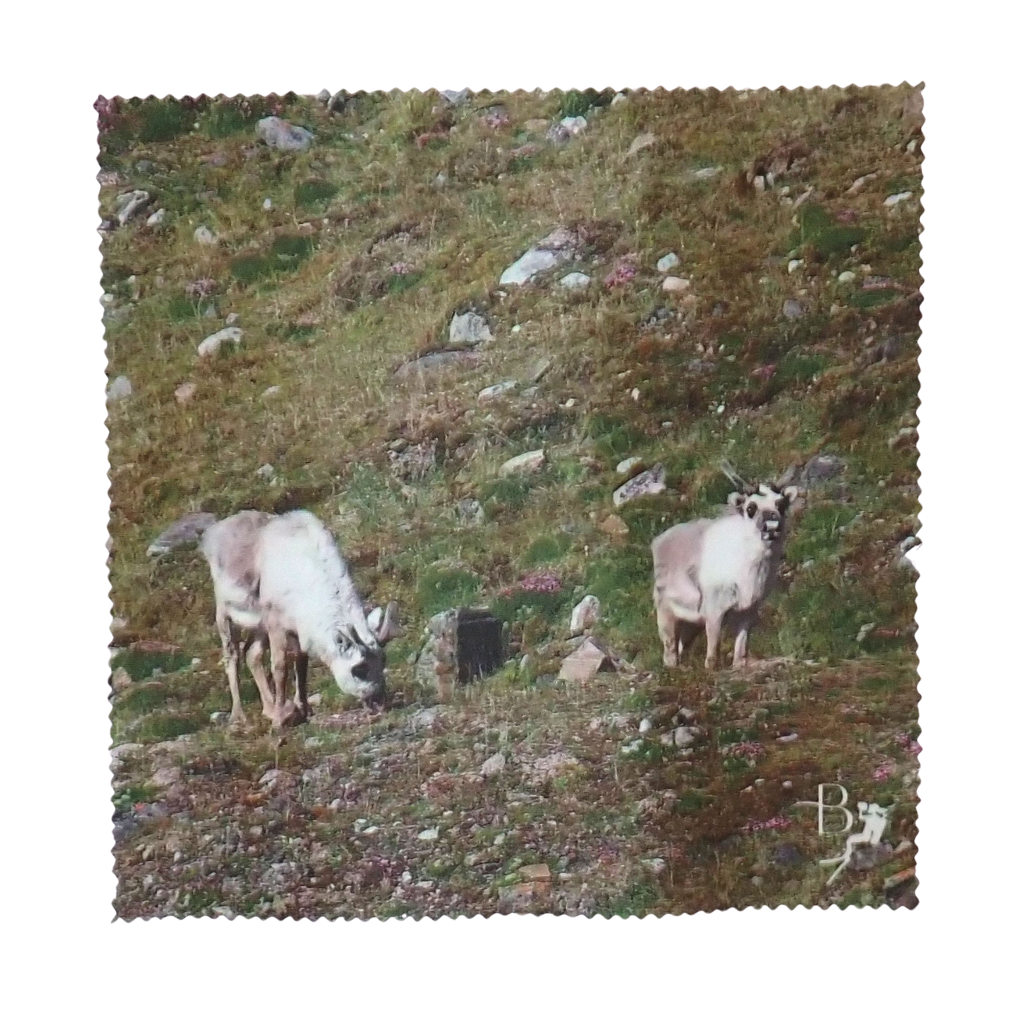 Glacial Collection - Lens Cloths