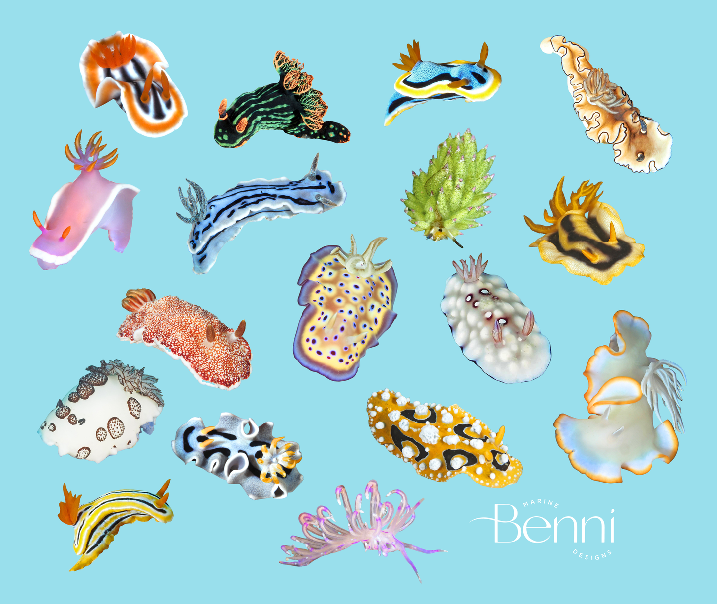NEW - Nudibranch Mouse Pad