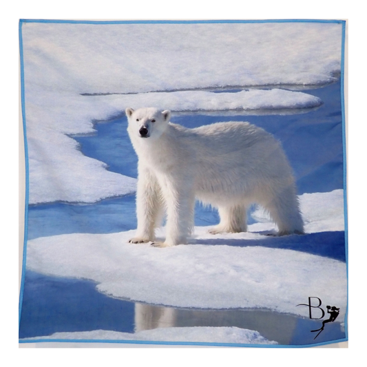 Glacial Collection - Towels