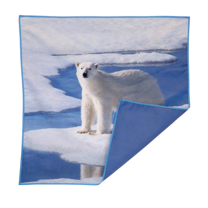 Glacial Collection - Towels