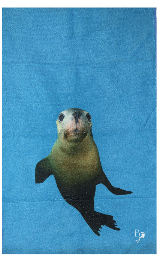 Ocean Life Terry Towel - Reduced!