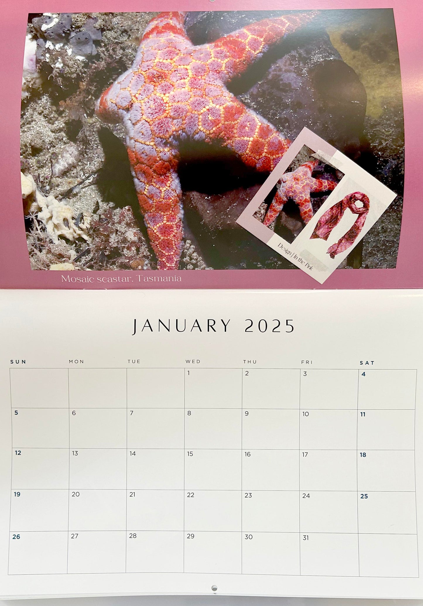 2025 Calendar