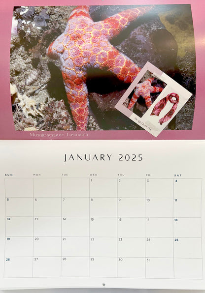 2025 Calendar