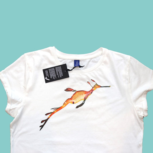 Ladies T Shirt - Weedy Seadragon on White - Benni Marine Designs