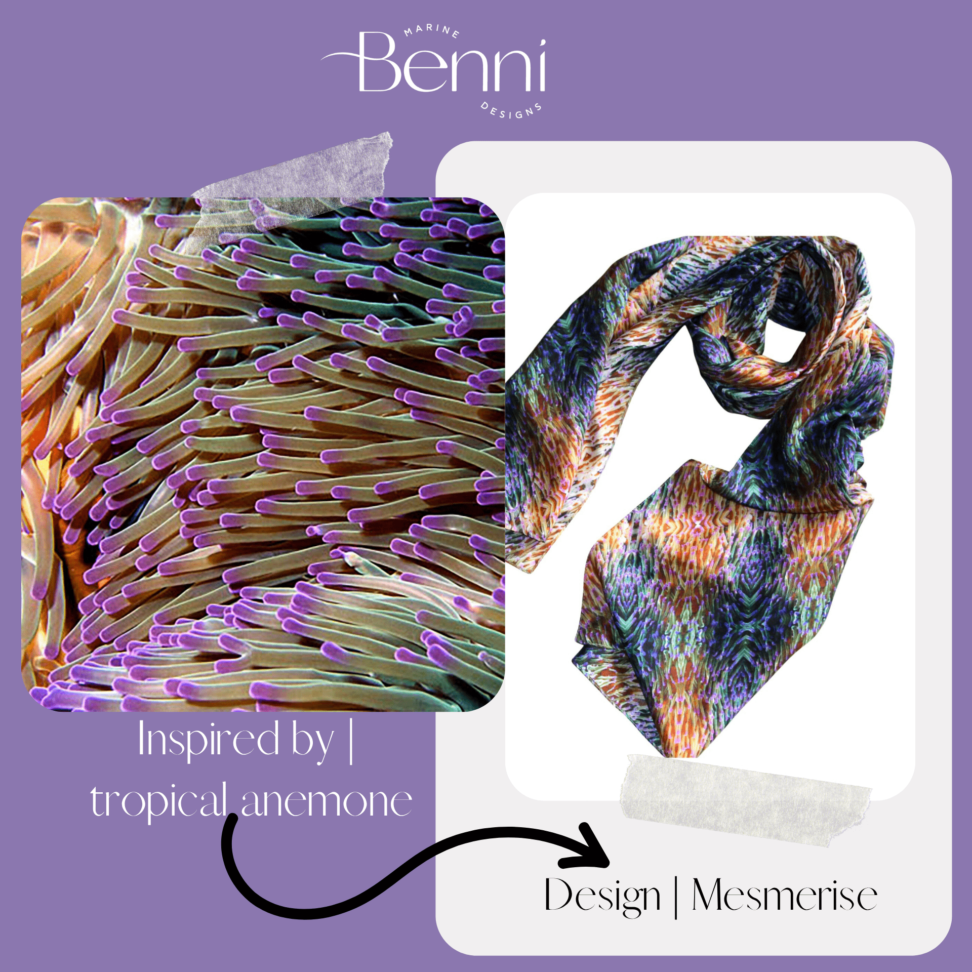 Mesmerise - Benni Marine Designs