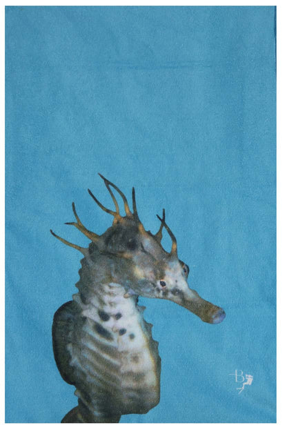 Ocean Life Terry Towel - Last Pieces - now just $10! - Benni Marine Designs