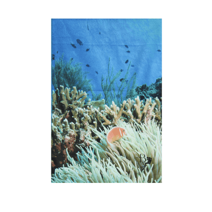 Ocean Life Terry Towel - Last Pieces - now just $10! - Benni Marine Designs