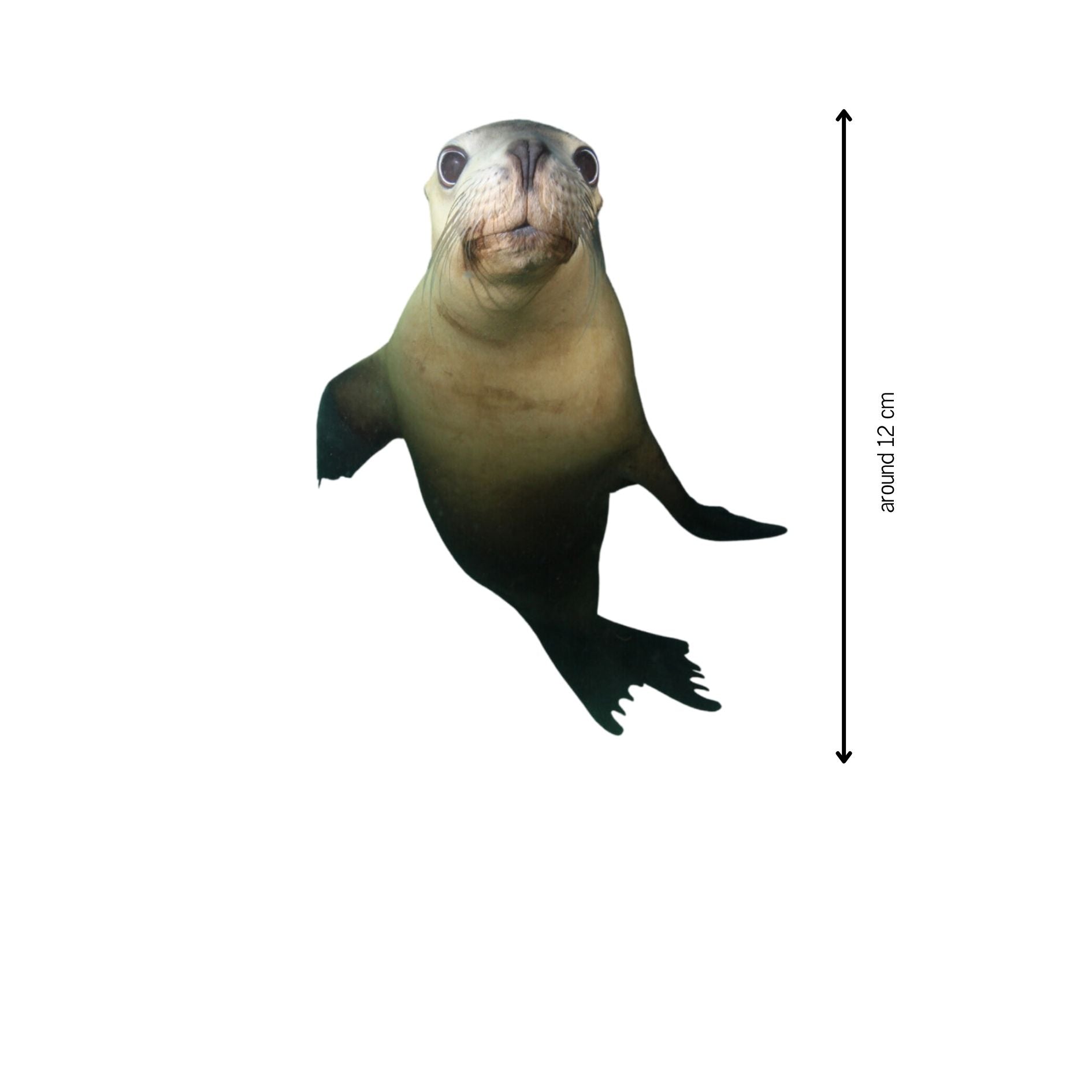 Stickers! - Benni Marine Designs
