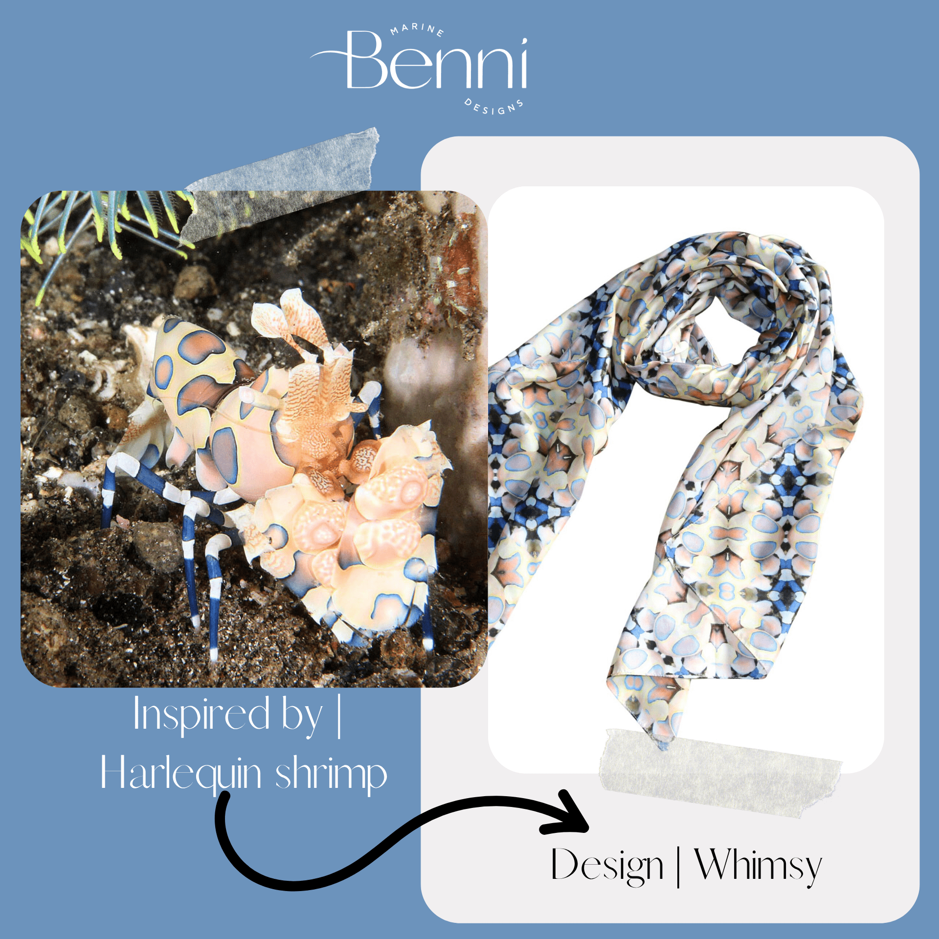 Whimsy - Benni Marine Designs